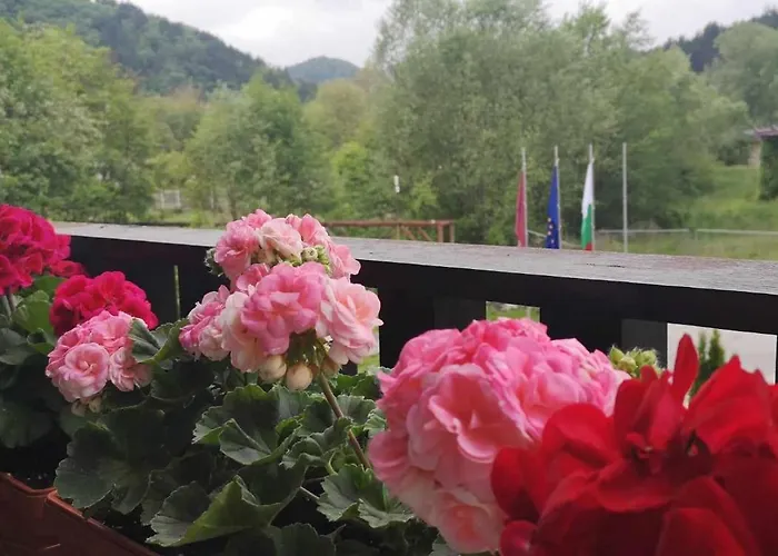 и студия вълшебство *